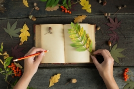 Autumn writings