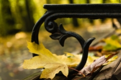 Autumn_bench