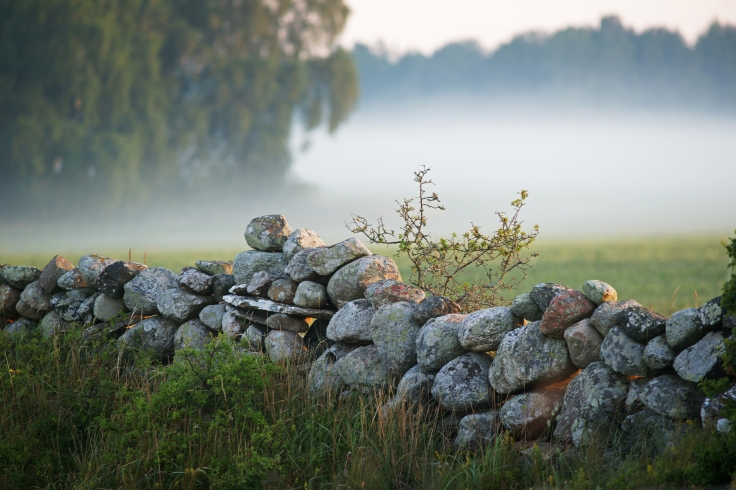Stone fence Gotland